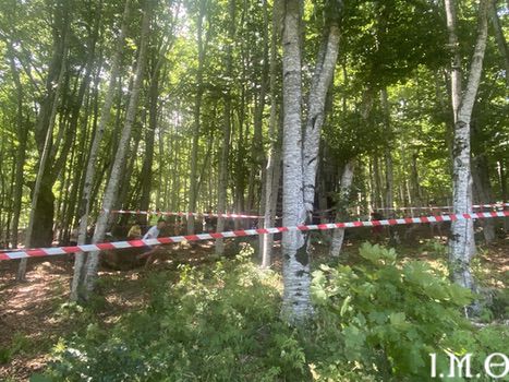 25.07.19.ΚΑΤΑΣΚΗΝΩΣΗ.ΠΡΩΙΝΕΣ.ΔΡΑΣΤΗΡΙΟΤΗΤΕΣ59