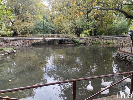 251020 Εκδρομή Δυτικό.13