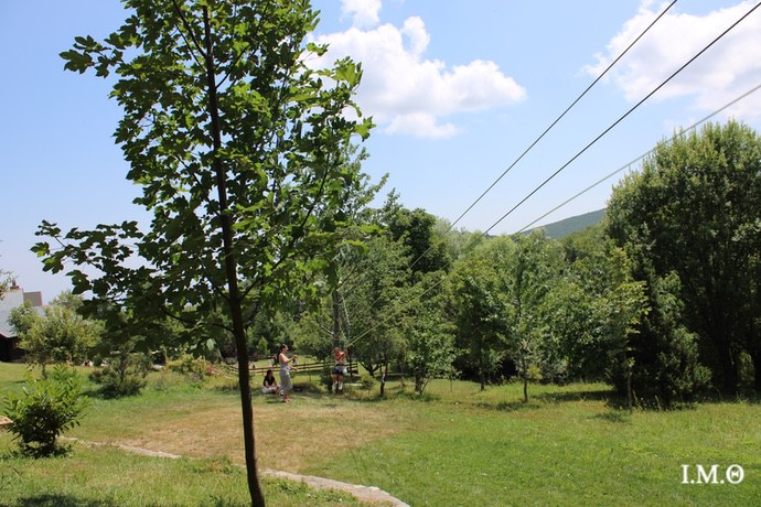 260804 Κατασκήνωση 13 Zipline 0010