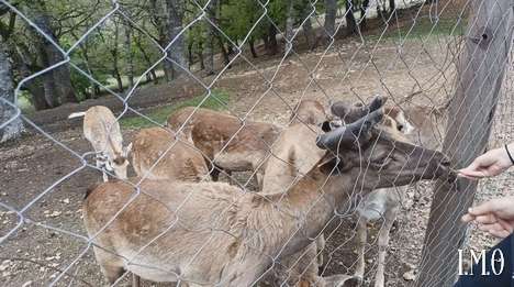 260510 Εκδρομή Κοζάνη 017